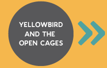 Enter the Yellowbird area of the site